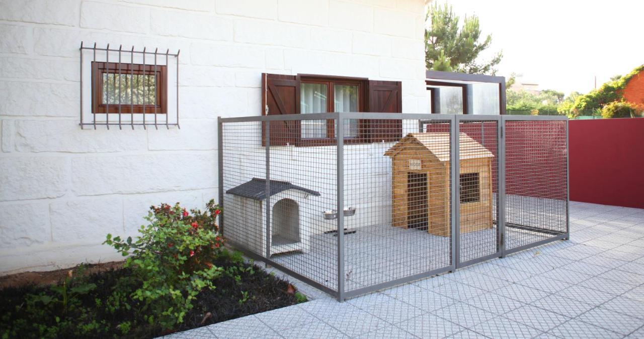 Woof & Sun Villa Esmoriz Ngoại thất bức ảnh