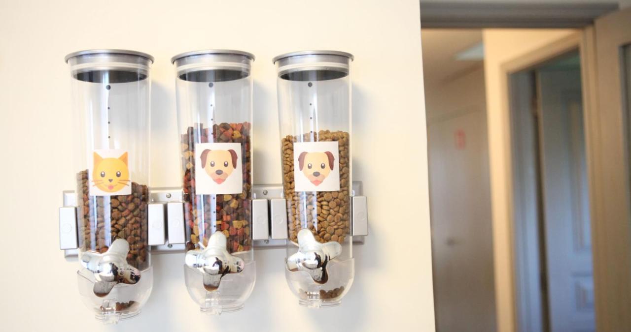 Woof & Sun Villa Esmoriz Ngoại thất bức ảnh