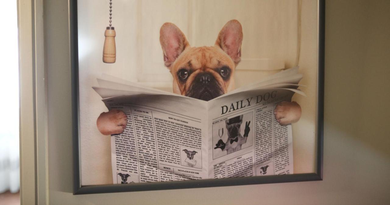 Woof & Sun Villa Esmoriz Ngoại thất bức ảnh