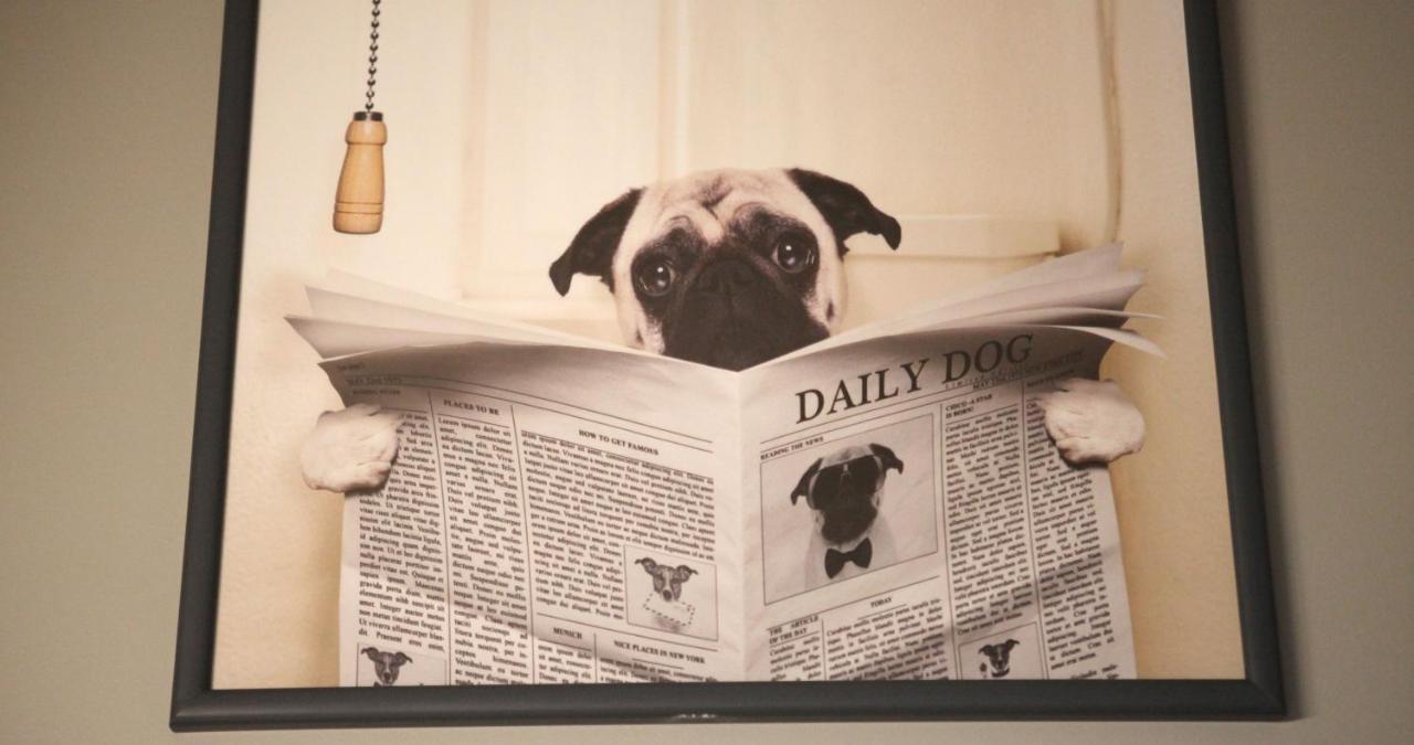 Woof & Sun Villa Esmoriz Ngoại thất bức ảnh